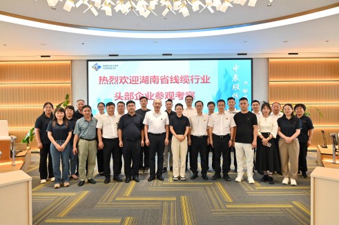 聚智 协同 共享——湖南线缆头部企业莅临兴发游戏xf电缆调查互换