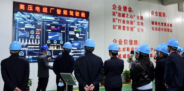 兴发xf(中国区)游戏有限公司